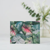 Carte Postale Joli feuille (Debout devant)