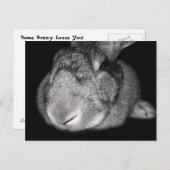 Carte Postale Joli Géant Flamand Un Lapin T'Aime ! (Devant / Derrière)