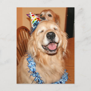 Carte Postale Joli Golden Retriever Anniversaire Wings