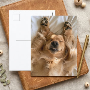Carte Postale Joli Golden Retriever Pattes de Chien Endormi