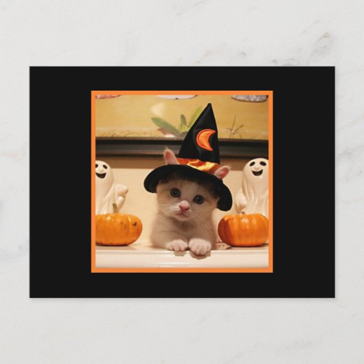 Carte Postale Joli Halloween Kitty Et Casquette De Sorcière (Devant)