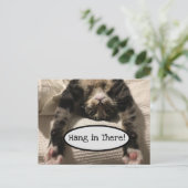 Carte Postale Joli Henry Cat Hang in There Photo (Debout devant)