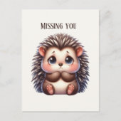 Carte Postale Joli Hérisson manquant (Devant)