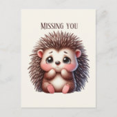 Carte Postale Joli Hérisson manquant (Devant)