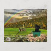 Carte Postale Joli Jack La Saint Patrick du Chat (Devant)