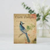 Carte Postale Joli Jay bleu Vintage (Debout devant)