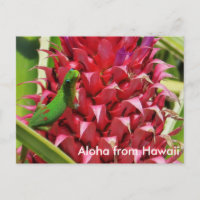 Joli jour de poussière d'or gecko ananas rose Hawa