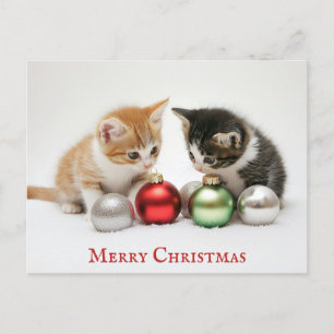 Carte Postale Joli Joyeux Chat de Noël Kitten