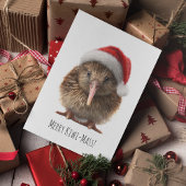 Carte Postale Joli Kiwi de Noël, coutume