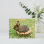 Carte Postale Joli lapin (Debout devant)