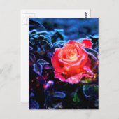 Carte Postale Joli Magic Frosted Imaginaire rose Rose Jardin (Devant / Derrière)