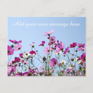 Carte Postale Joli message personnalisé de prairie rose