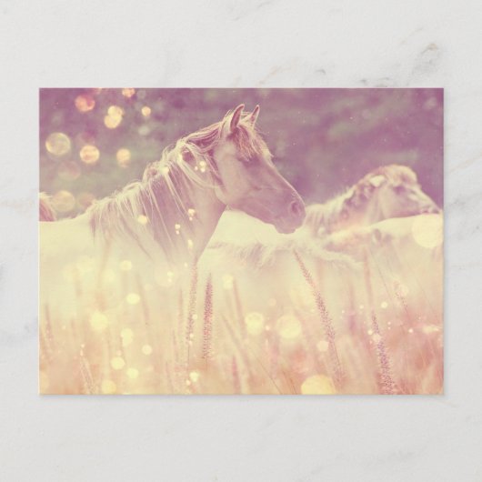 Carte Postale Joli Mustang Wild Gold Sparkles Horse (Devant)