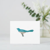 Carte Postale joli oiseau coucou (Debout devant)