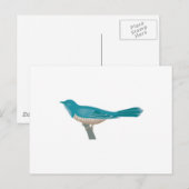 Carte Postale joli oiseau coucou (Devant / Derrière)