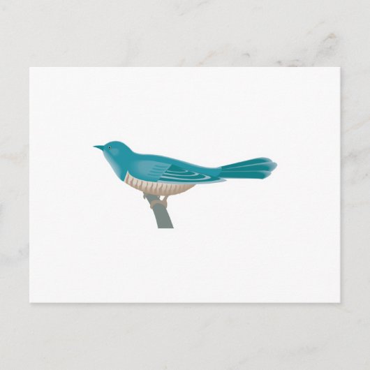 Carte Postale joli oiseau coucou (Devant)