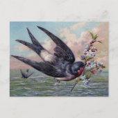 Carte Postale Joli Oiseau Rouge Avalé Bleu Et Jolies Fleurs (Devant)