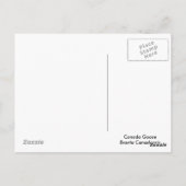 Carte Postale Joli oison de bernache du Canada (Dos)