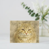 Carte Postale Joli Orange Kitty | ABSTRAIT | Aquarelle (Debout devant)