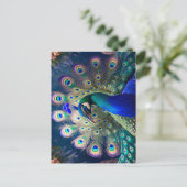Carte Postale Joli paon avec plumage turquoise et or (Debout devant)