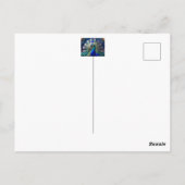 Carte Postale Joli paon avec plumage turquoise et or (Dos)