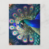 Carte Postale Joli paon avec plumage turquoise et or (Devant)