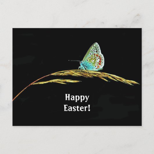 Carte Postale Joli Papillon Bleu Grass Photo Pâques (Devant)