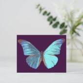 Carte Postale Joli Papillon bleu Iridescente (Debout devant)