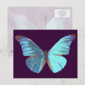 Carte Postale Joli Papillon bleu Iridescente (Devant / Derrière)
