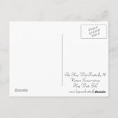 Carte Postale Joli papillon rouge (Dos)