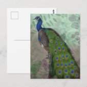 Carte Postale Joli Peacock (Devant / Derrière)