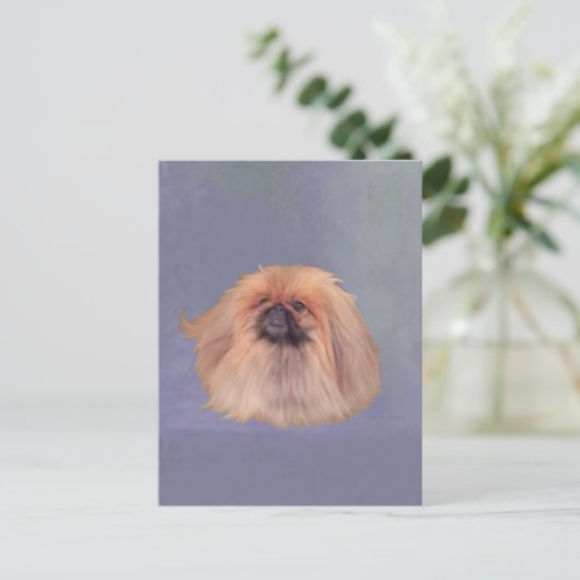 Carte Postale Joli Pekingese (Debout devant)