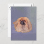 Carte Postale Joli Pekingese (Devant / Derrière)