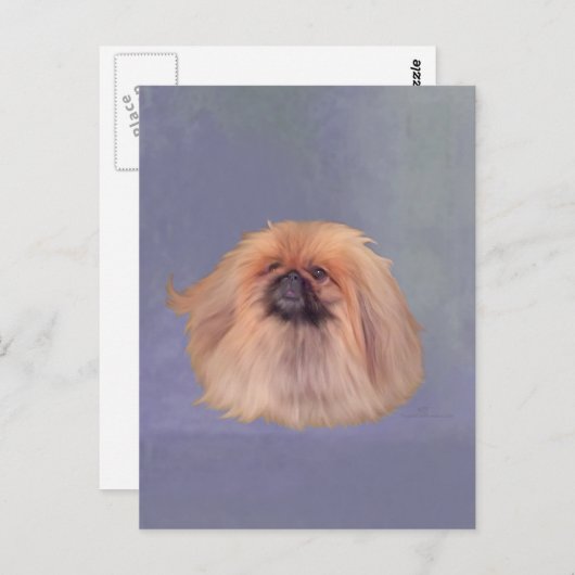 Carte Postale Joli Pekingese (Devant / Derrière)