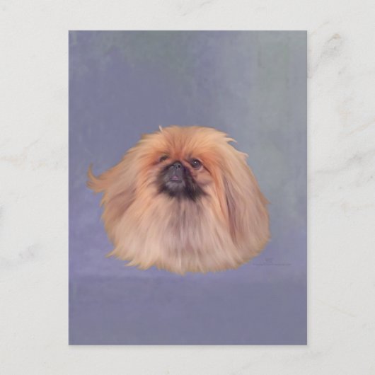 Carte Postale Joli Pekingese (Devant)