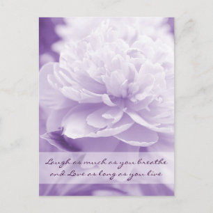 Carte Postale Joli Peony Violet