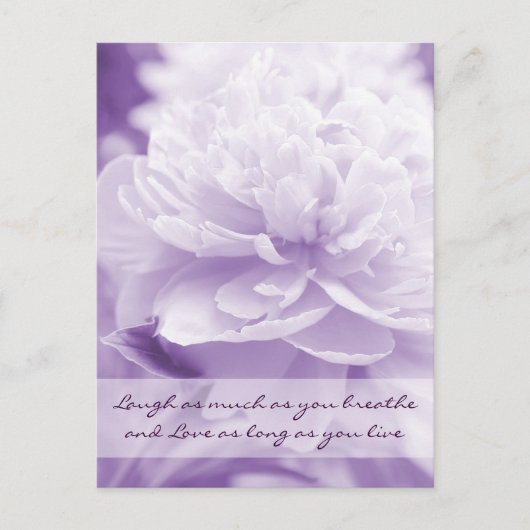 Carte Postale Joli Peony Violet (Devant)