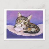Carte Postale Joli petit chat (Devant)