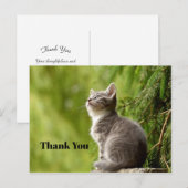 Carte Postale Joli petit chat gris qui regarde vers le haut Phot (Devant / Derrière)