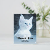 Carte Postale Joli petit chaton blanc avec de beaux yeux bleus M (Debout devant)