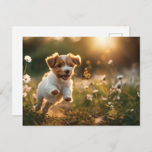 Carte Postale Joli petit chiot à la recherche d'un papillon (Devant / Derrière)