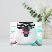 Carte Postale Joli phoque (Debout devant)