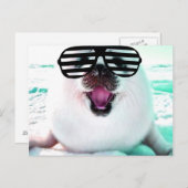 Carte Postale Joli phoque (Devant / Derrière)