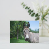 Carte Postale Joli portrait d'âne (Debout devant)