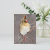 Carte Postale Joli Pose (Debout devant)