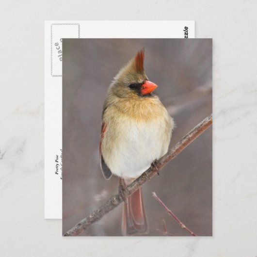 Carte Postale Joli Pose (Devant / Derrière)