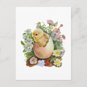 Carte Postale Joli poussin dans la coquille d'oeuf et fleurs aqu