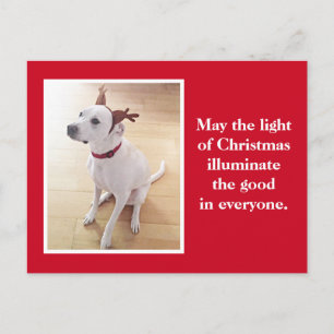 Carte Postale Joli Reindeer Chien Chien Chien Chien Rouge Noël