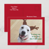 Carte Postale Joli Renne Blanc Sourire Chien Rouge Noël (Devant / Derrière)