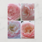 Carte Postale Joli Rose (Devant)